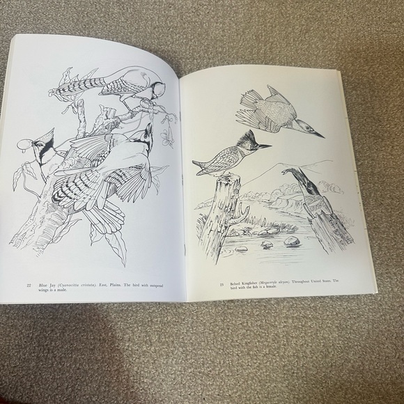 Dover Coloring Books - Picture 13 of 13